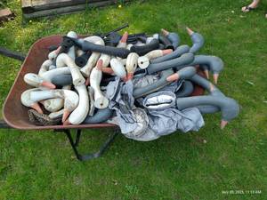lot 608 image: Wheel Barrow wWind Sock Goose Decoys