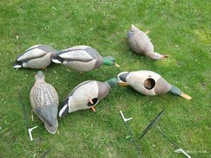 lot 609 image: Bag of Duck Decoys & Stands