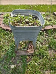 lot 617 image: Old Washing Sink Planter
