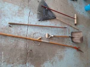 lot 635 image: Tree Limb Saw, Shovel & Rakes