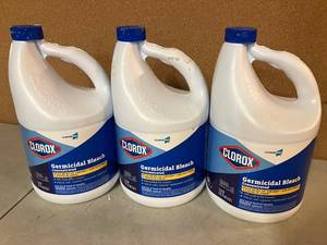 lot 150 image: Clorox Germicidal Bleach