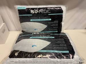 lot 37 image: 2x ISO-Pedic Cool & Comfy Pillows