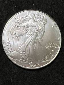 2025 AMERICAN SILVER EAGLE 1 TROY OZ .999 FINE SILVER