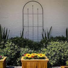 lot 227 image: Metal Trellis - Vigoro 80 in. H Wisteria Black Metal Trellis