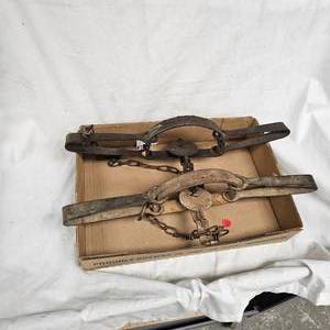 lot 12 image: Pair of Victor Wolf Traps and Coleman Lamp