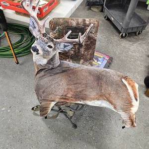lot 37 image: Swivel Hunting Chair and Deer Silhouette