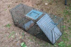 lot 37 image: Durable Metal Animal Trap Cage