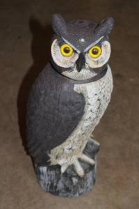 lot B-77 image: Lifelike Owl Garden Decoy with Bright Yellow Eyes