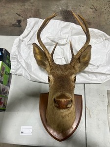 lot 2 image: DEER MOUNT
