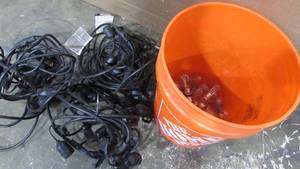lot 61 image: Lot of String Lights with Extra Bulbs and Pale