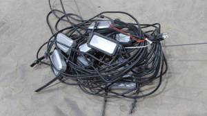 lot 81 image: Husky String Lights