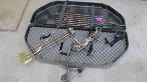 lot 161 image: Compound Bow With Case and Aluminimum Arrows