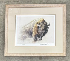 lot 102 image: Bison Study Signed Limited Edition Print by Robert Bateman