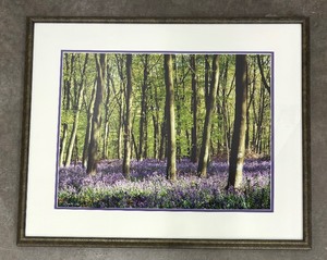 lot 154 image: Canterbury Bells Limited Edition Photographic Print by Frederic C. Joy