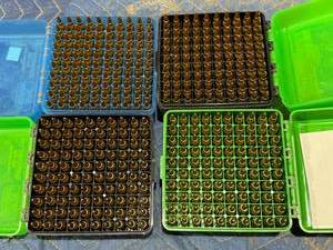 lot 65 image: 400 223 Rem Shells