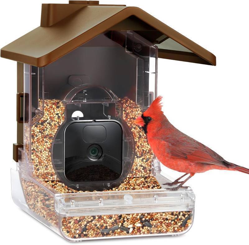 lot 912 image: Wasserstein Bird Feeder Camera Case  Smart Bird Watching Accessory (Camera NOT Included)