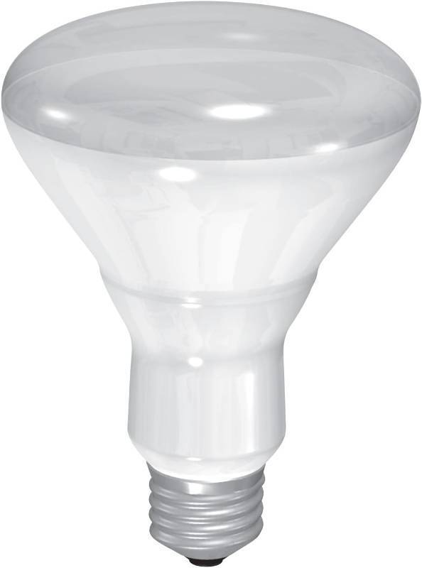 lot 228 image: NEW GE Incandescent Flood Light Bulbs, BR30 Flood Lights, 65-Watt, 615 Lumen, Medium Base, Soft White, 6-Pack, Indoor Flood Light Bulbs, Recessed Light Bulbs for Indoors