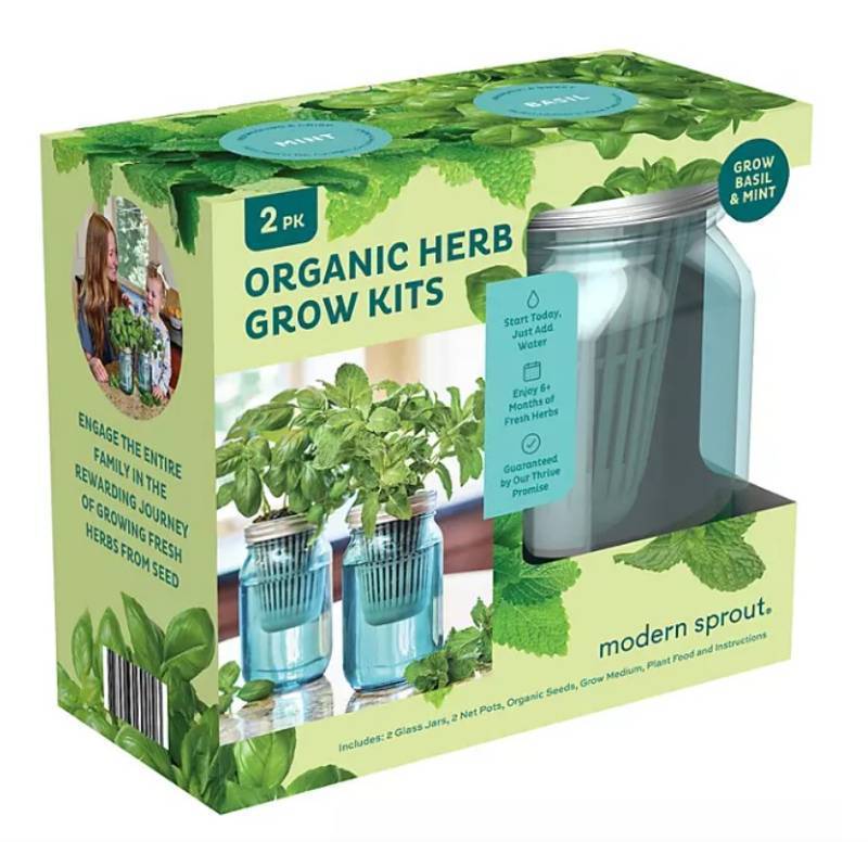 lot 171 image: NEW Modern Sprouts Organic Herb Garden Grow Kit, 2pk - Basil and Mint