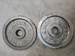 Lot of a pair of 25LB 2-inch Weight Plates (USED)