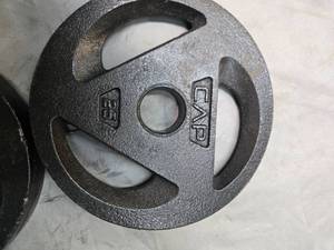 Lot of a pair of 25LB 2-inch Weight Plates (NEW)
