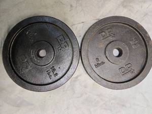 lot 10 image: Lot of a pair of 13.2LB One-inch Weight Plates (USED)
