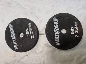 lot 17 image: Lot of a pair of 5LB One-inch Weight Plates (USED)