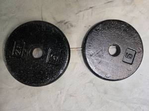 lot 18 image: Lot of a pair of 5LB One-inch Weight Plates (USED)