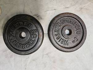 lot 24 image: Lot of a pair of 5LB  One-inch Weight Plates (USED)