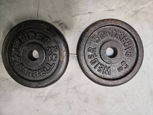 lot 25 image: Lot of a pair of 5LB  One-inch Weight Plates (USED)