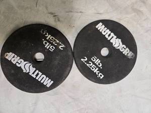 lot 26 image: Lot of a pair of 5LB  One-inch Weight Plates (USED)