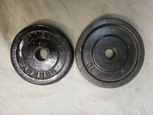 lot 35 image: Lot of a pair of 10LB One-inch Weight Plates (USED)