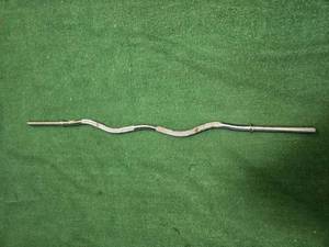 lot 45 image: Lot of One-inch Curl Bar