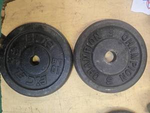 lot 56 image: A pair of 10LB Weight Plates (USED)