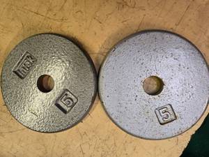 lot 60 image: A pair of 5LB Weight Plates (USED)