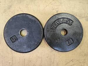 lot 68 image: A pair of 5LB Weight Plates (USED)