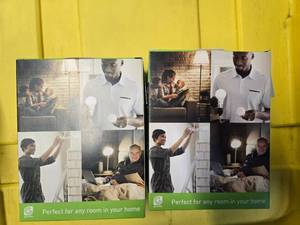 lot 131 image: Two Packs (8 Light Bulbs) of Greenlite LED 100W Equivalent (NEW)
