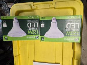 lot 152 image: Two Packs (4 Light Bulbs) of Greenlite LED 120W Equivalent (NEW)