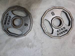 lot 160 image: Lot of a Pair of 5LB 2-Inch weight Plates (USED)