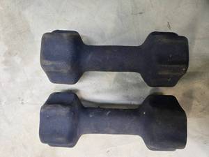 lot 161 image: Lot of a Pair of 8LB Dumbbells (USED)