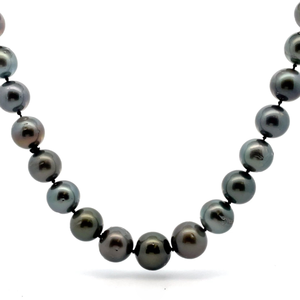 lot 29 image: NEW Tahitian Pearl Single Strand Necklace  14k White Gold Clasp w Report $4,450 Retail VIDEO