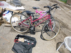 lot 148 image: 2 Adult Bicycles