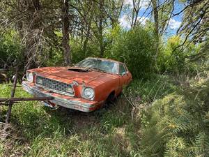 lot 7 image: Ford Mustang 2