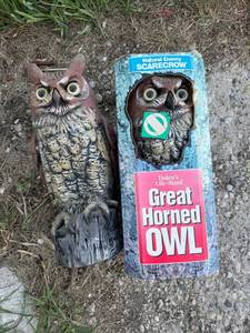 lot 97 image: Life-Sized Owls