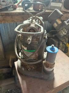 lot 183 image: Wayne 12 HP Sump Pump