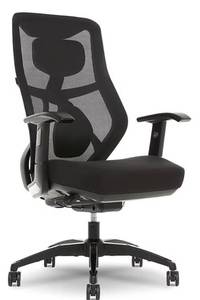 lot 2 image: Beautyrest Duo Ex Ergonomic Chair