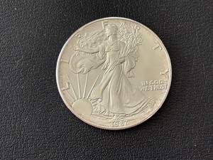 lot 7 image: 1987 Silver Eagle