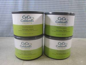 lot 36 image: (CSB) 4 Cans of Endurance Natural F...