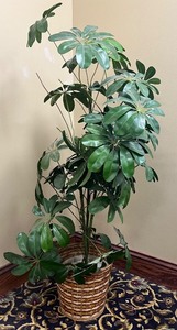 lot 28 image: Beautifully Potted Artificial Green Schefflera Plant