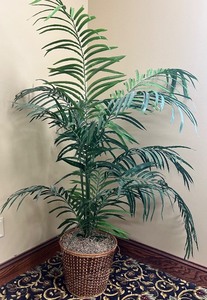 lot 29 image: Tall Artificial Palm Tree in Decorative Wicker Basket
