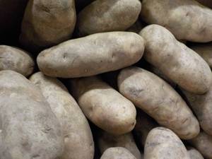 lot 104 image: 50 lb. box Kitchen Kleen Russet Pot...